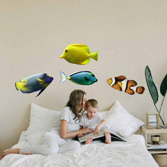 8x24 inch Naso Tang Decal Installed in Boys Room