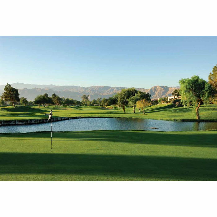 Palm Springs Golf Course Gloss Poster Printed | Wallhogs