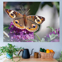38x48 inch Butterfly on Purple Flower Poster Installed Above Table