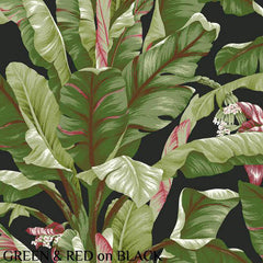 Ashford House Banana Leaf Green & Red on Black Wallpaper
