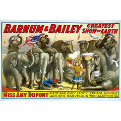 Amy Dupont Gloss Poster Printed | Wallhogs