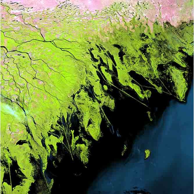 Volga Delta Satellite Wall Decal Printed | Wallhogs