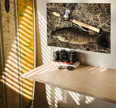 24x36 inch Catch of the Day Decal Installed Above Shelf