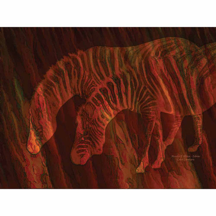 Moods Of Africa Zebras Wall Decal Printed | Wallhogs