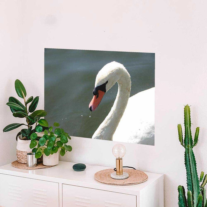 24 inch Majestic Swan Decal Installed Above Cabinet